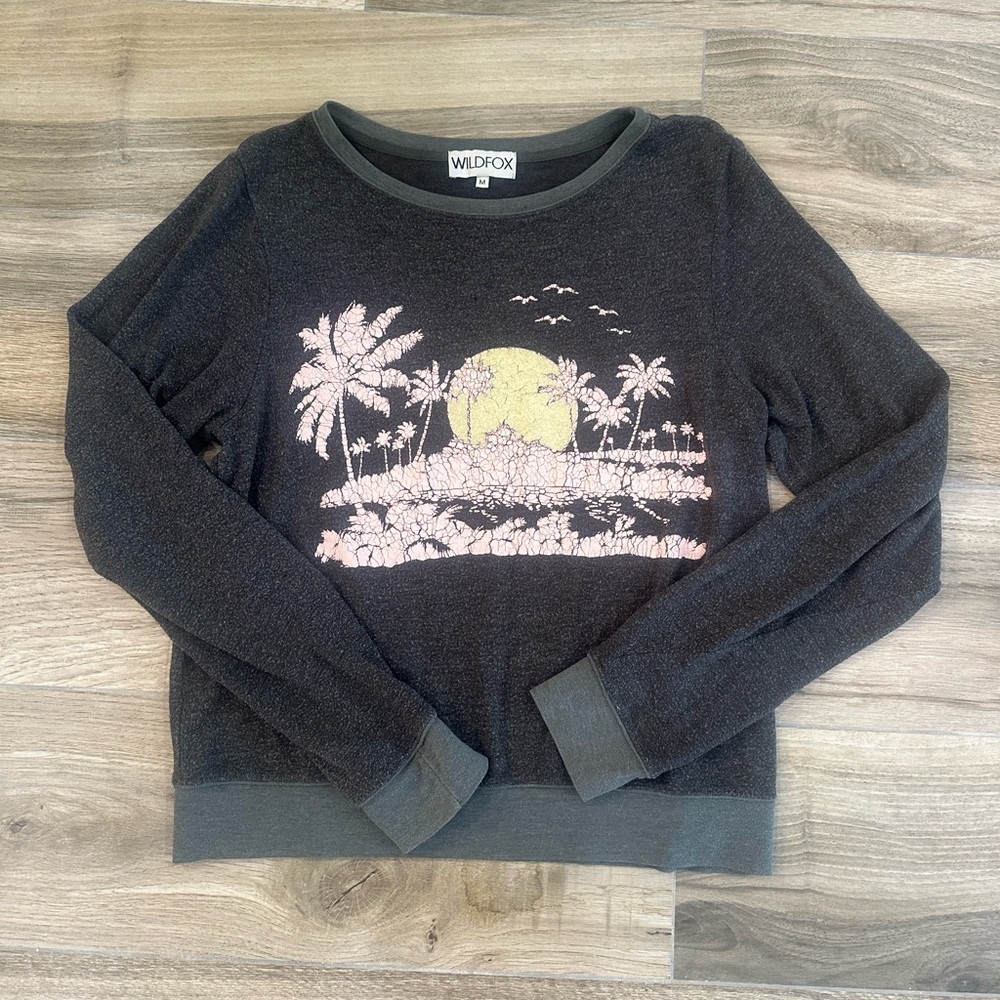 Wildfox sweatshirt